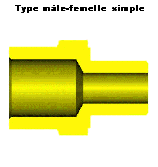 Type m&acirc;le-femelle simple