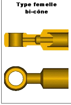 Type femelle bi-c&ocirc;ne