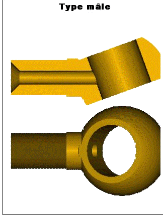 Type m&acirc;le