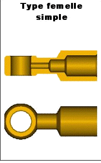 Type femelle simple