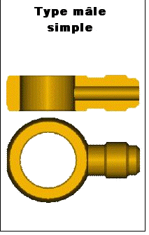 Type m&acirc;le simple